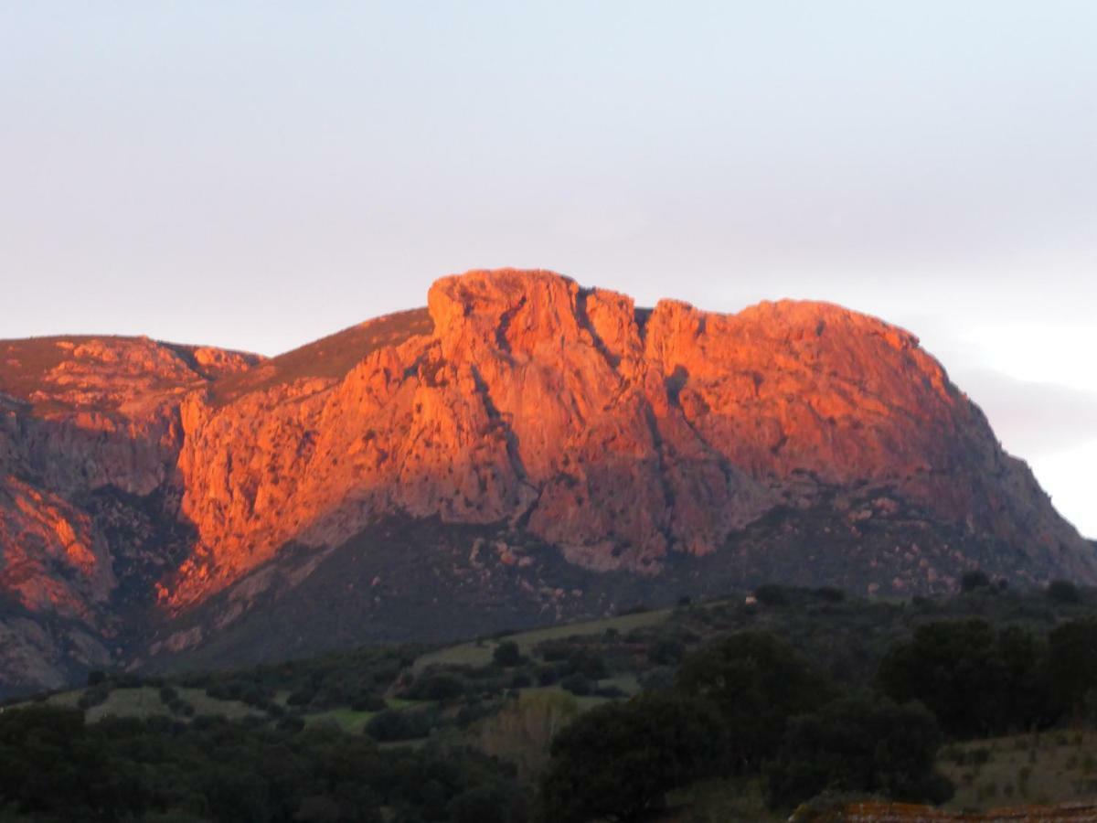 Perula Di Machja Bed & Breakfast Alata Dış mekan fotoğraf